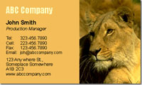 Nature, animals, wild, beasts, lioness, cat, feline,